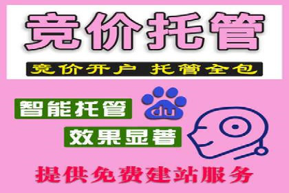 解析SEM托管的关键词策略——以某公司为例